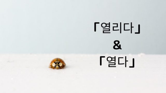 열리다 開く 열다 開ける の韓国語を使い分けよう ほもるぶろぐ